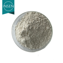 Green Tea Extract L-theanine Powder